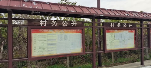 阳光下的承诺 霍邱县夏店镇砖佛寺村公告栏的村务公开纪实